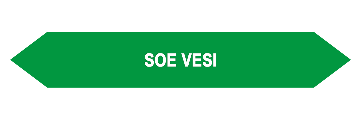 Kleebis SOE VESI 16tk